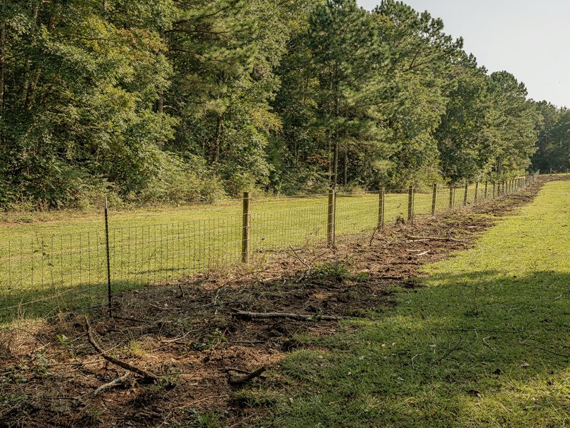 Brush and underbrush clearing along a fence line in Charlotte, NC