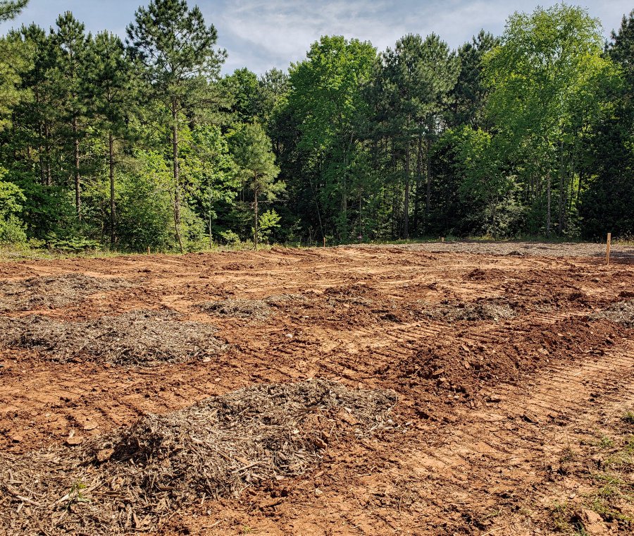 Property cleared and mulched by Land Clearing Charlotte in Charlotte, NC